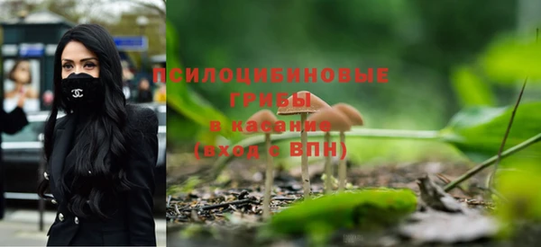 соль ск Алзамай