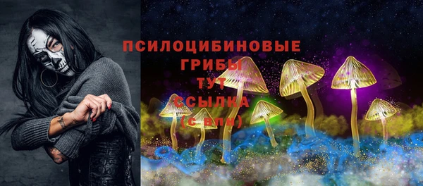 молекула духа Алексеевка