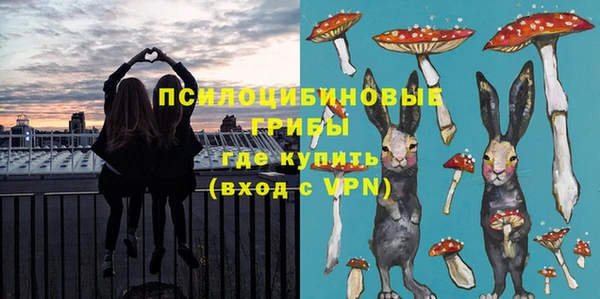 соль ск Алзамай