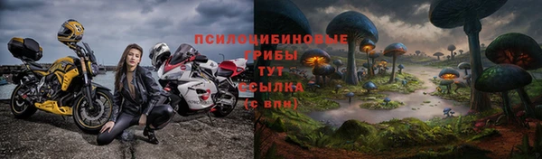 молекула духа Алексеевка