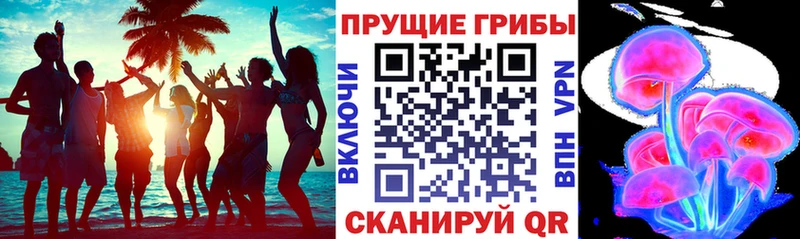 Псилоцибиновые грибы Psilocybe  купить наркоту  Рошаль 